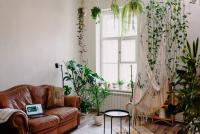 tanaman untuk rumah minimalis