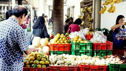 Foto lapak buah citraland fresh market